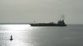 Pertusola - estuaire - 26 janvier 2013 (05).JPG
